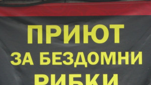 Смолян си има приют за бездомни рибки