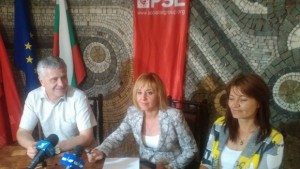 Мая Манолова Подобни частни референдуми повече не трябва да се