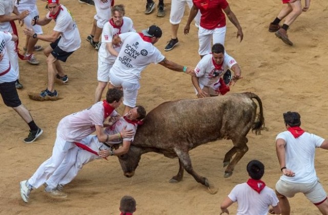 Трима души пострадаха от бикове на фестивала в Памплона