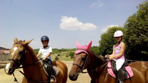 Арбанаси посреща деца и юноши от 10 държави за международен