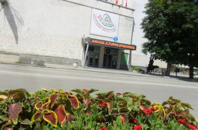 Половината от цветята до Дома на хумора и сатирата вече са изтръгнати