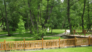 Забранява се навлизането с МПС на територията на парк Рила