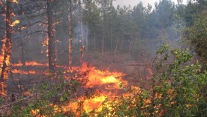 Десет пожара за три дни в Добричко