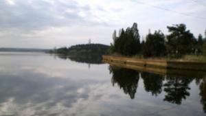 РИОСВ проверява сигнал за мъртва риба в язовир Розов кладенец