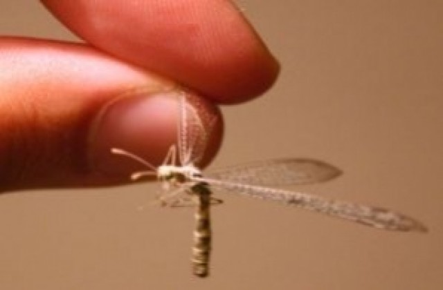 Срещу комари ще пръскат и в кварталите на Стара Загора