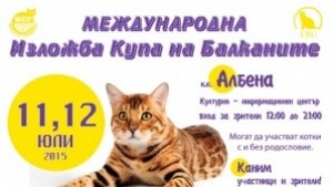 Албена е домакин на Международна изложба на котки