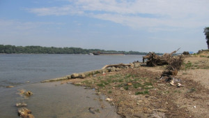 Доброволчески акции през лятото ще чистят дунавски острови