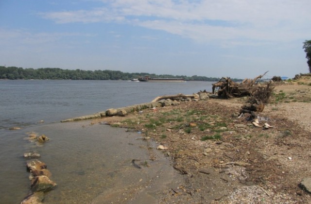 Доброволчески акции през лятото ще чистят дунавски острови