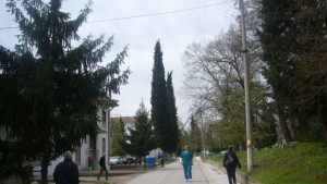 Близо двойно поскъпо възстановяване на здравноосигурителни права през 2016 година