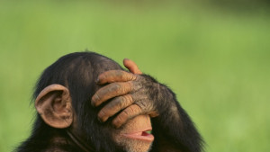 Ново изследване поставя под въпрос теория за еволюцията