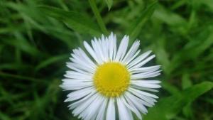 Слънчево и топло време на 16 юли