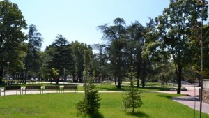 Над 80 000 растения засади Община Казанлък за последните три