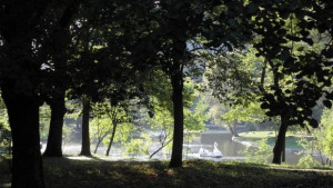 24часова охрана и видеонаблюдение в ремонтирания Северен парк в столицата