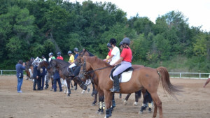 Конната база в Арбанаси посреща две държавни първенства през уикенда