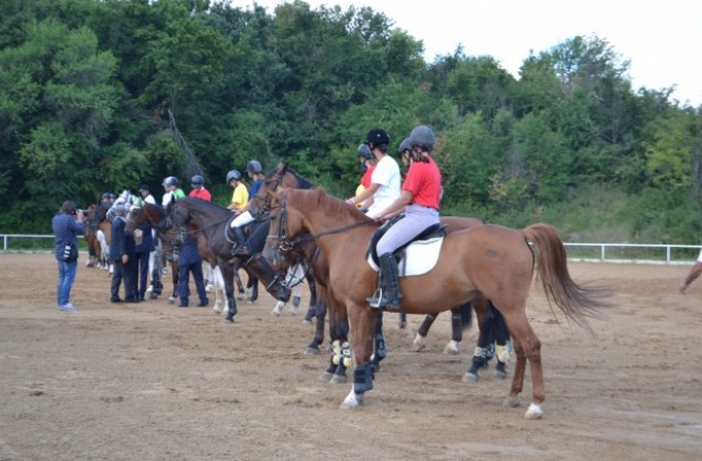 Конната база в Арбанаси посреща две държавни първенства през уикенда