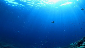 Американските военни успешно тестваха подводен дрон