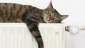 Отоплителителен сезон 2014 2015 ни бърка подълбоко в джоба