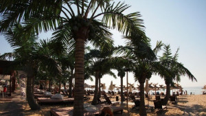 Отново слънчево и горещо