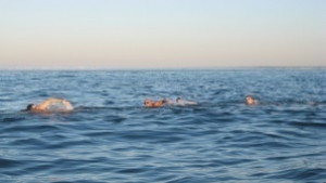 Рекорден брой плувци на Варна Галата