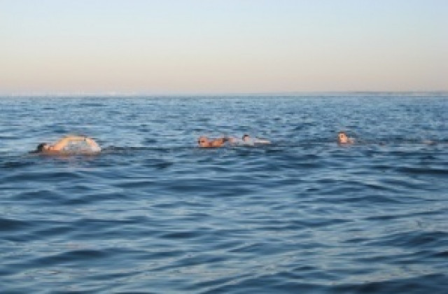 Рекорден брой плувци на Варна - Галата