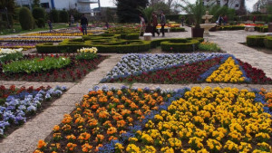 Университетската ботаническа градина в Балчик на 60 години