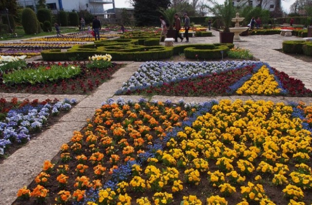 Университетската ботаническа градина в Балчик на 60 години