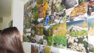 Изложба с фотографии от резерват Врачански карст