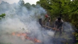 Пожарът в Харманлийско е частично изгасен