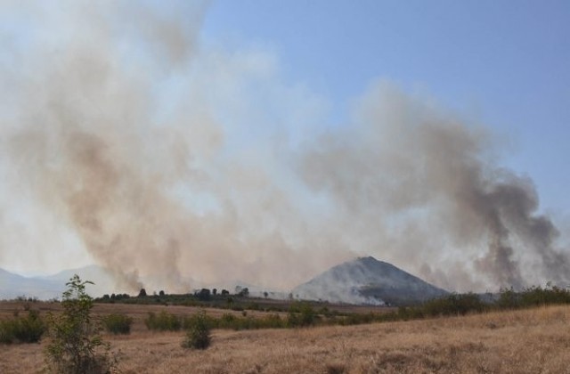 Пожарът в Харманлийско е локализиран