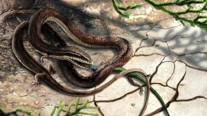 Уникално откритие фосил на четиринога змия СНИМКИ