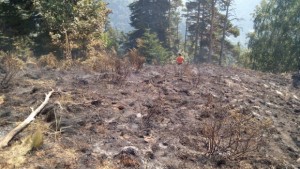 До 1 час ще локализират пожара в Рила планина