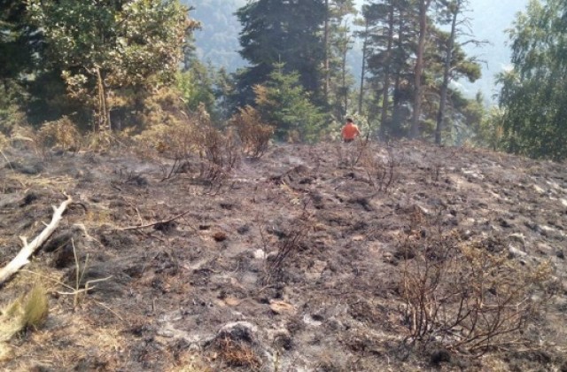 До 1 час ще локализират пожара в Рила планина