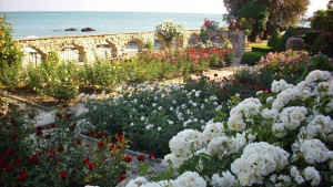 Университетската ботаническа градина в Балчик отбелязва 60та годишнина