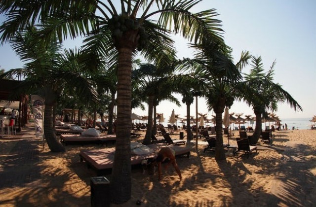 Жълт код заради опасни жеги