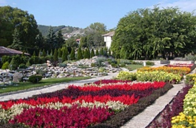 Университетската ботаническа градина в Балчик отбелязва 60-годишнина