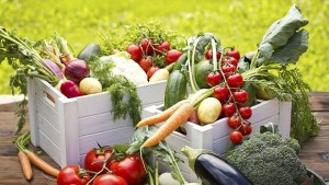 С кризата в Испания зеленчуковите градини процъфтяват