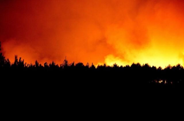 Евакуираха на 10 000 души заради горски пожари в Южна Франция