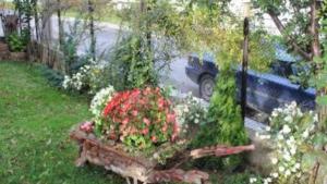 И тази година в Трявна се състезават за найкрасив дом