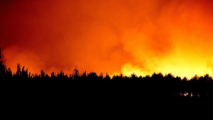 Видеонаблюдателни кули дебнат за горски пожари в Смолянско