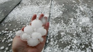 758 служители на агенция Борба с градушките започват символичен протест