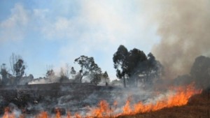 Горене на стърнища в Румъния е причината за неприятни миризми