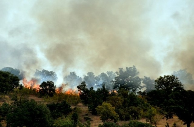 Пожар гори край хасковското село Брягово