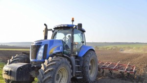 Два пъти послаба реколта от царевица очакват стопаните в Силистренско