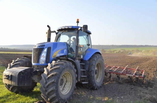 Два пъти по-слаба реколта от царевица очакват стопаните в Силистренско