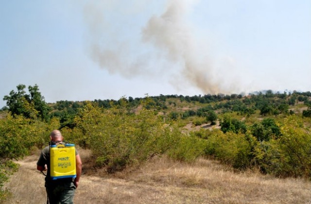 Локализираха пожара край Брягово, пламна ново огнище край Стамболово