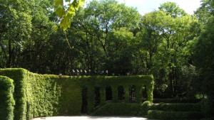 Любовен еликсир или защо днес е трудно да кажеш Oбичам