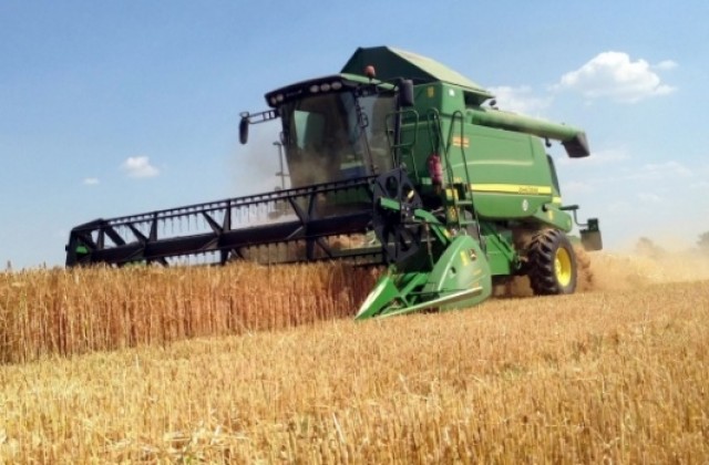 Средният добив на пшеница в Шуменско е 443 кг/дка, реколтата е събрана почти на 100%