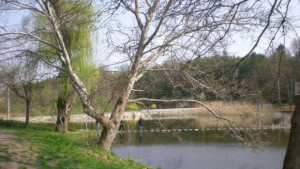 Национален конкурснадиграване в Лесопарк Липник