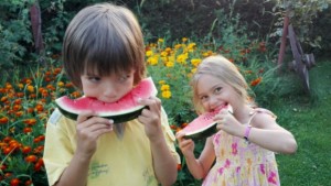 Варна е домакин на Фестивал на динята