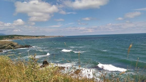 Слънчева седмица